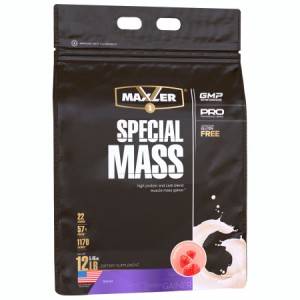 Special Mass Gainer (5,45кг)